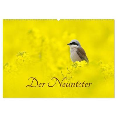 Der Neuntöter (Wandkalender 2027 DIN A2 quer), CALVENDO Monatskalender