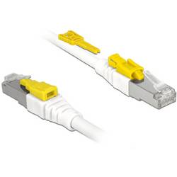 Delock 85332 RJ45 Patchkabel CAT 6a S/FTP 2.00 m Weiß 1 St.