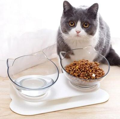 Uplift Essentials Ergonomic Non Slip Double Cat Feeding Station blue And Orange