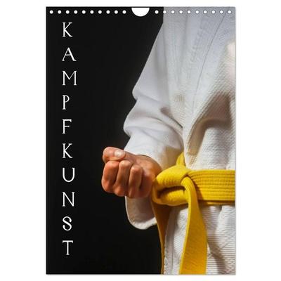 Kampfkunst (Wandkalender 2027 DIN A4 hoch), CALVENDO Monatskalender