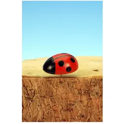 Christian Ulbricht Käfer mittel (zum Stecken) 2,5 / 0,9 cm