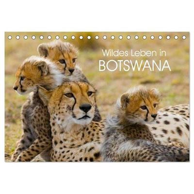 Wildes Leben in Botswana (Tischkalender 2027 DIN A5 quer), CALVENDO Monatskalender