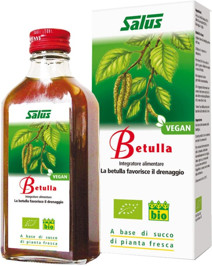 SALUS HAUS Gmbh & Co KG BETULLA SUCCO S/ALC 200ML