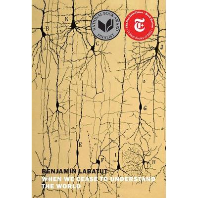 When We Cease to Understand the World, Taschenbuch von Benjamin Labatut, New York Review Of Books, 978-1-68137-566-3