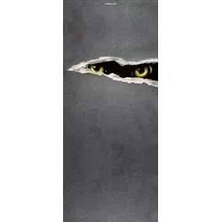 Scheurich Türfolie Scary Eyes, für Innen- Außentüren