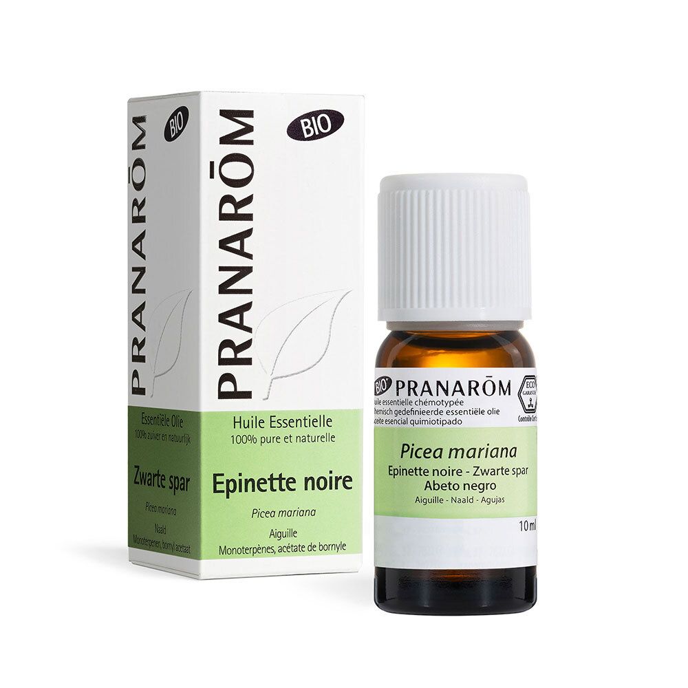Pranarom Picea Mariana Bio ok Nlfrenes 10 ml Ätherisches Öl