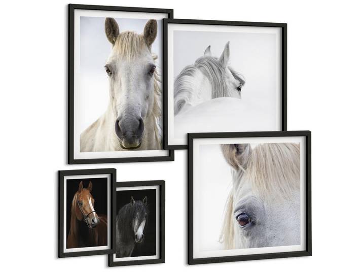 Tulup Bilder SET 5er Set - 50x50 cm & 20x30 cm & 40x60 cm Schwarzer Rahmen - Pferdeporträts in Schattierungen, Kunststoff, Rechteckig, 40x60 cm, Fotografie, Bilder & Rahmen, Bilder