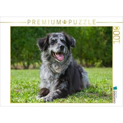 CALVENDO Puzzle Altdeutscher Tiger | 1000 Teile Lege-Größe 64x48cm Foto-Puzzle für glückliche Stunden