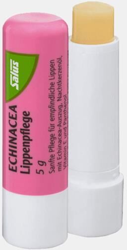 SALUS BATON DE EQUINACEA 5g