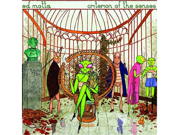 Criterion of the Senses