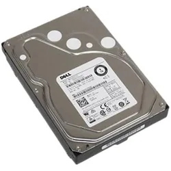 Dell Festplatte 1 TB (1 TB, 3.5"), Festplatte
