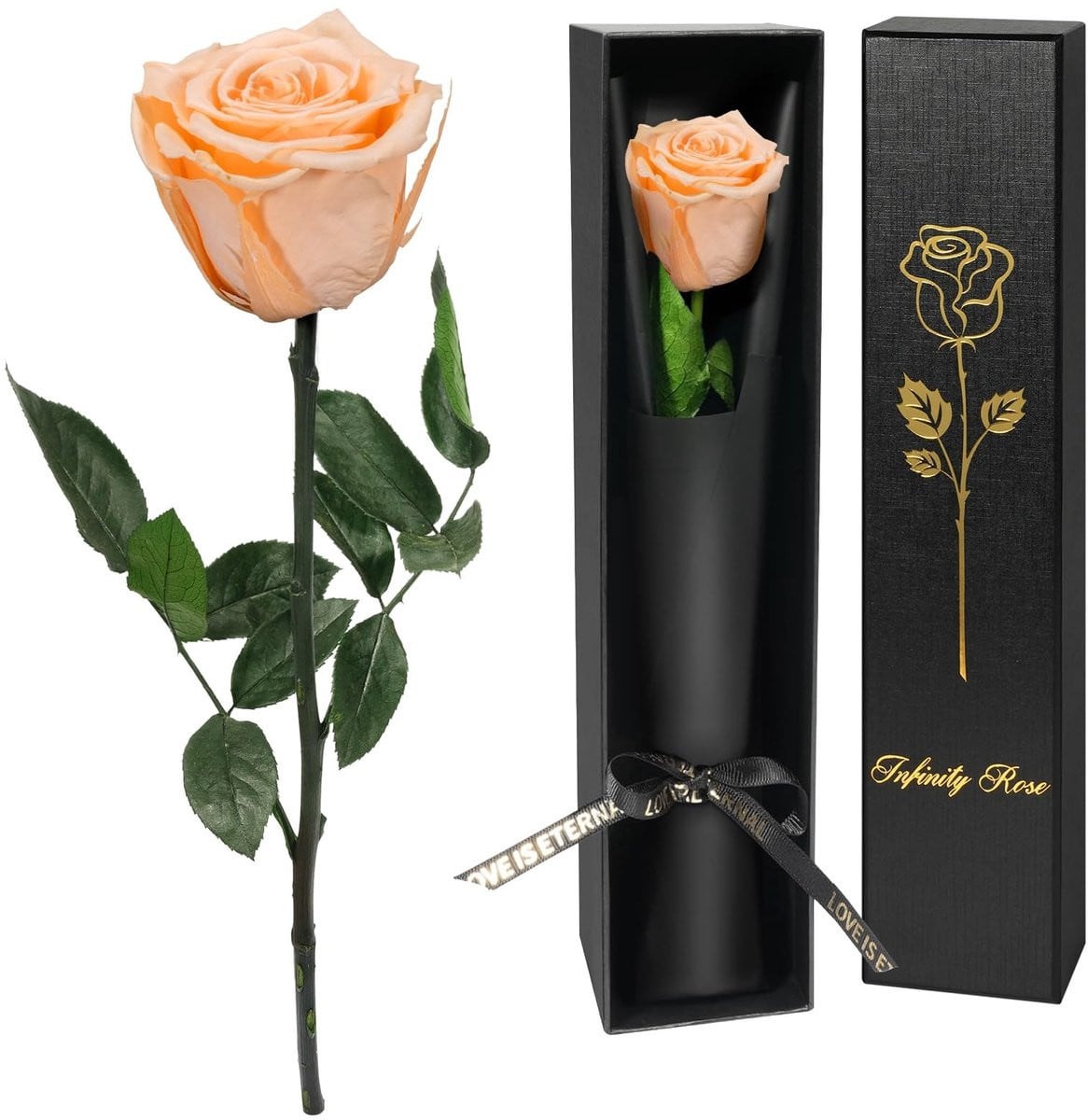 Dailygoods Eeuwige Roos - Geconserveerde Echte Roos in Geschenkdoos - Handgemaakt