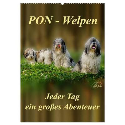 PON-Welpen - jeder Tag ein großes Abenteuer / Planer (Wandkalender 2027 DIN A2 hoch), CALVENDO Monatskalender