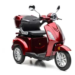 Nova Motors Bendi weinrot 20 km/h 1 x 20Ah Akkupack, Gehstockhalter