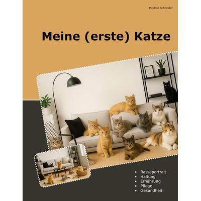 Meine (erste) Katze, Taschenbuch von Melanie Schneider, BoD – Books on Demand, 978-3-8192-6679-9