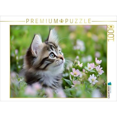 CALVENDO Puzzle Verträumte Katze in der Wiese | 1000 Teile Lege-Größe 64x48cm Foto-Puzzle für glückliche Stunden