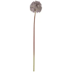 Chic Antique Fleur Allium, H58/D11 cm, heide