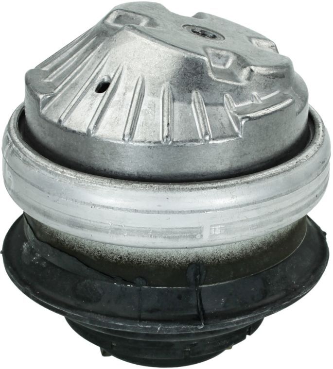 Meyle Supporto motore 014 024 0079