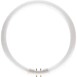 MASTER TL5 Circular - Fluorescent lamp - Lampenleistung EM 25°C,nominal: 40 W -  MASTER TL5 Circular 40W/840 1CT/10