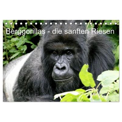 Berggorillas - die sanften Riesen (Tischkalender 2027 DIN A5 quer), CALVENDO Monatskalender