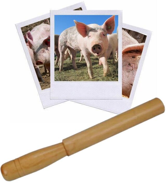 Hélen Baud Appeau Cochon