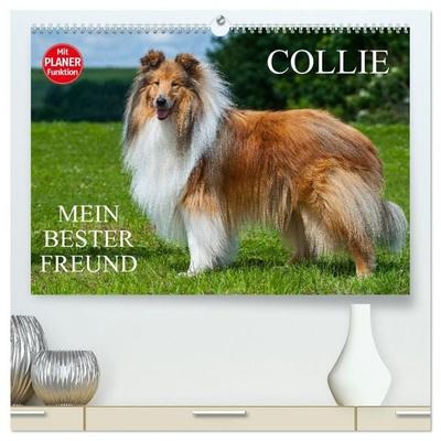 Collie - Mein bester Freund (hochwertiger Premium Wandkalender 2027 DIN A2 quer), Kunstdruck in Hochglanz