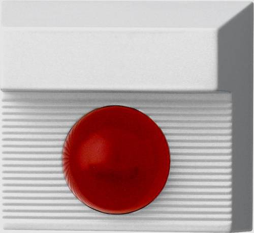 PENTATECH 33166 LED-Anzeige mit Summer 70 dB Innenbereich