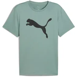 PUMA Tad Essentials Solid Big Cat Trainingsshirt Herren 30 - green moon S