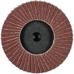 Pferd, Schleifmittel, CDR PFF 75 A 60 (60)