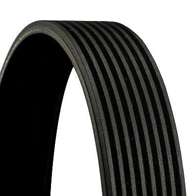 CONTINENTAL CTAM Keilrippenriemen 8PK2155 für GAZ