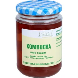 Kombucha Bios Teepilz 1 ST