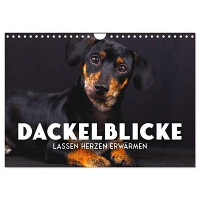 Dackelblicke - Lassen Herzen erwärmen. (Wandkalender 2027 DIN A4 quer), CALVENDO Monatskalender