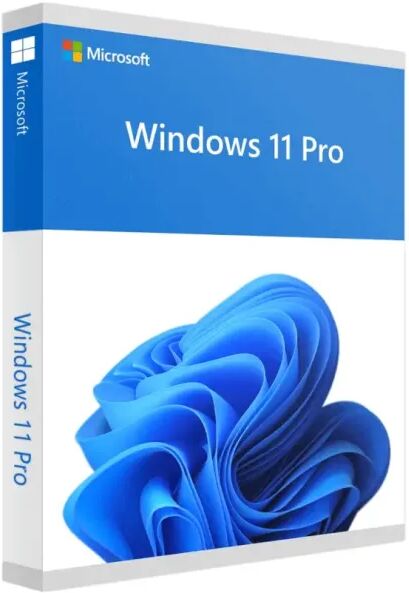 Microsoft Windows 11 Pro