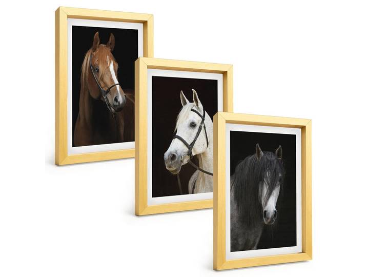 Tulup Bilder SET 3er Set - 20x30 cm Goldrahmen - Porträts von Pferden in verschiedenen Fellfarben, Goldfarben, Kunststoff, Rechteckig, 20x30 cm, Fotografie, Bilder & Rahmen, Bilder