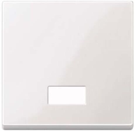 Merten Wippe Symbol Fenster pwsgl rechteckig 432819)