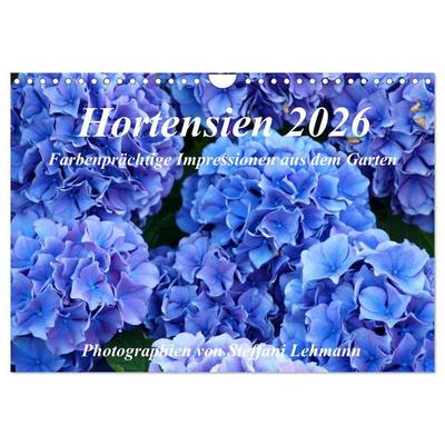 Hortensien 2026. Farbenprächtige Impressionen aus dem Garten (Wandkalender 2026 DIN A4 quer), CALVENDO Monatskalender