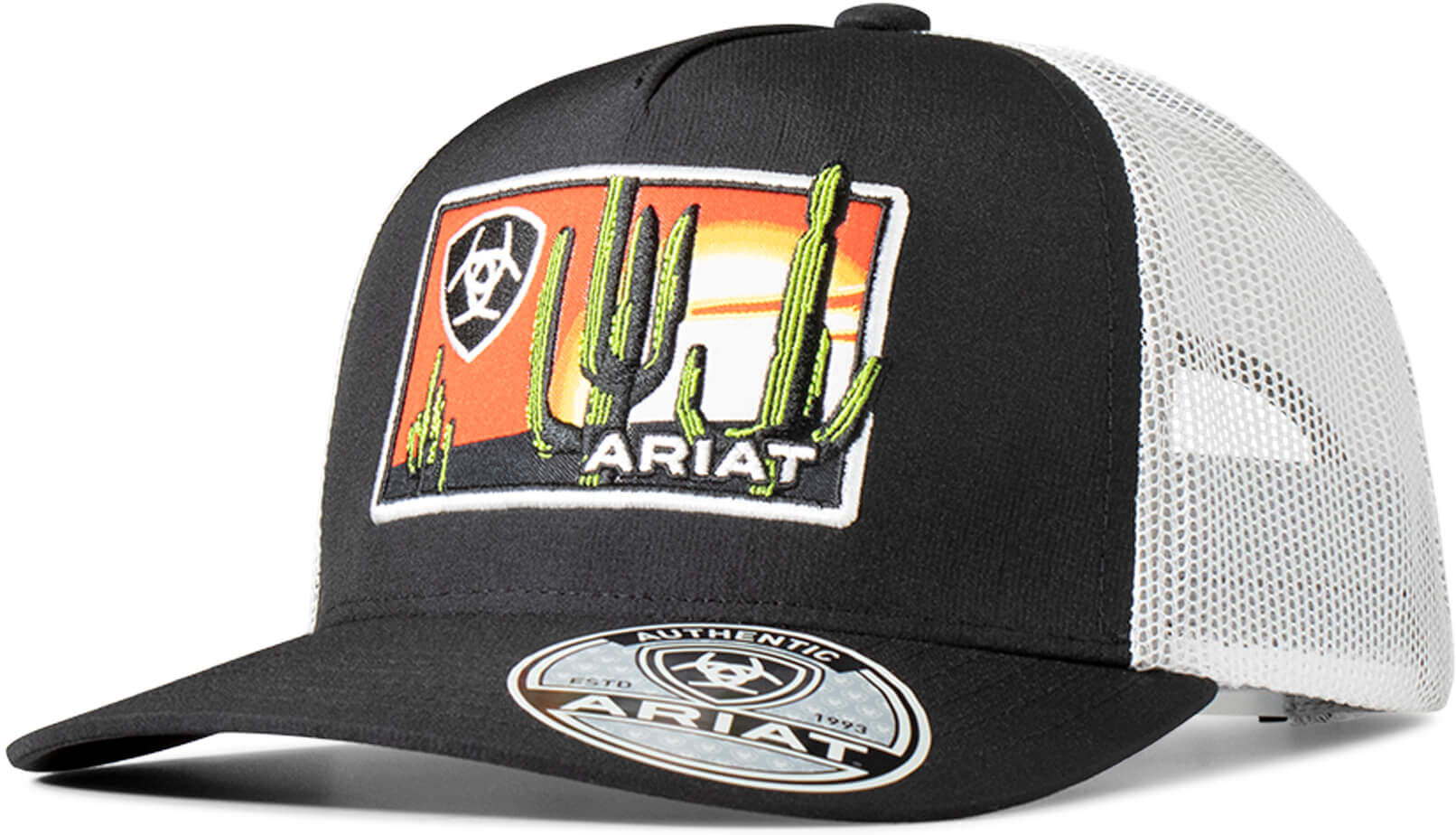 Men's Desert Patch Cap in Black by Ariat