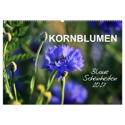 Kornblumen - Blaue Schönheiten (Wandkalender 2027 DIN A2 quer), CALVENDO Monatskalender