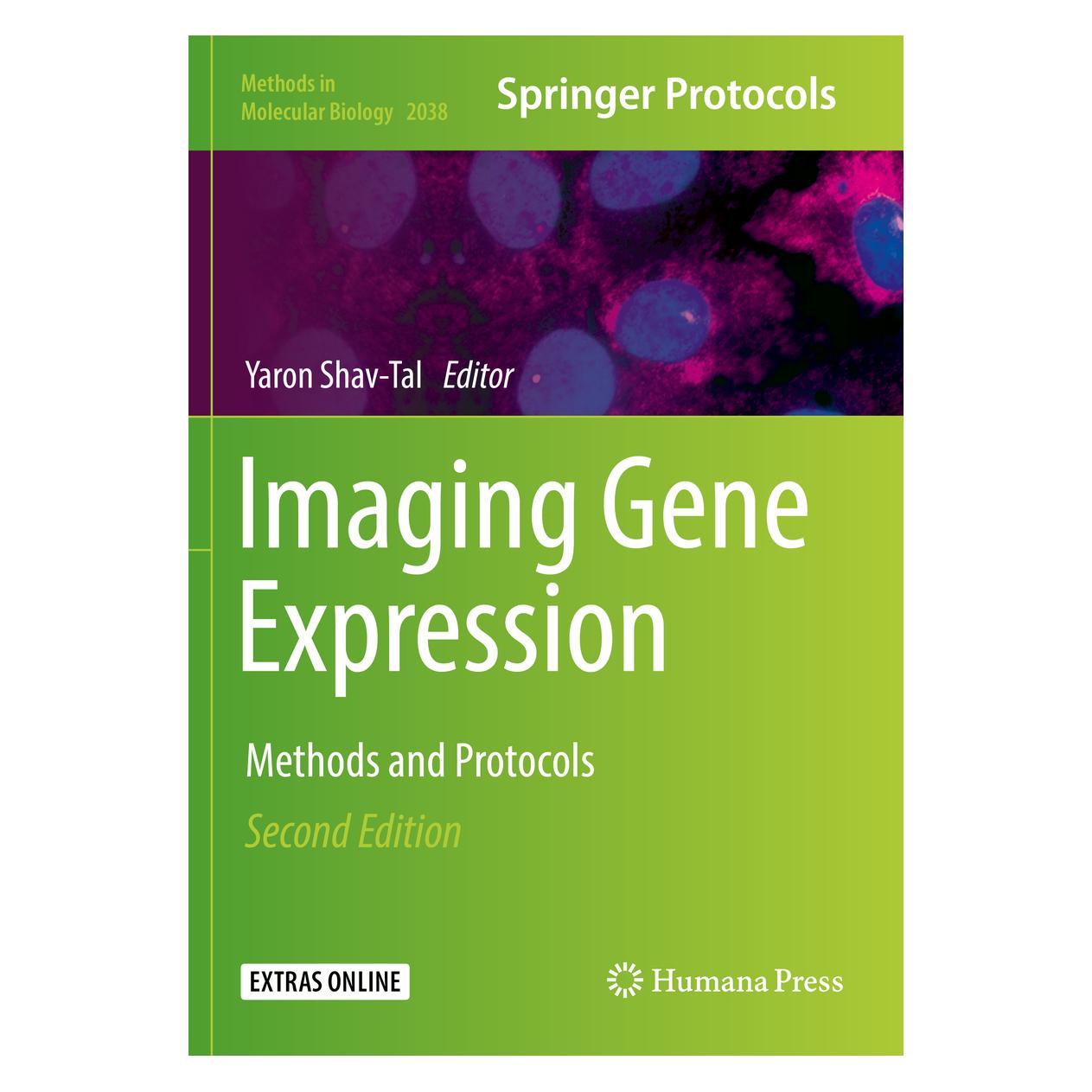 Springer Imaging Gene Expression (Englisch, Softcover, Yaron Shav-Tal) (56156195)