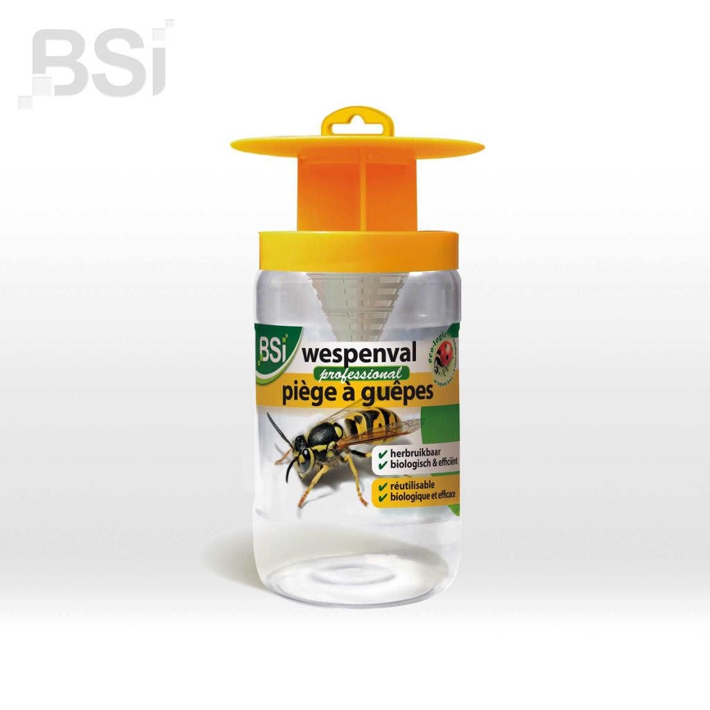 BSI Wespenval