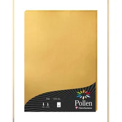 Pollen 10x Papier A4 Pollen 120g 50 Blatt - Gold 4200C