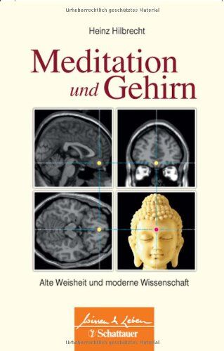 Heinz Hilbrecht - Meditation und Gehirn: Alte Weisheit und moderne Wissenschaft - Preis vom 17.10.2026 19:25:27 h