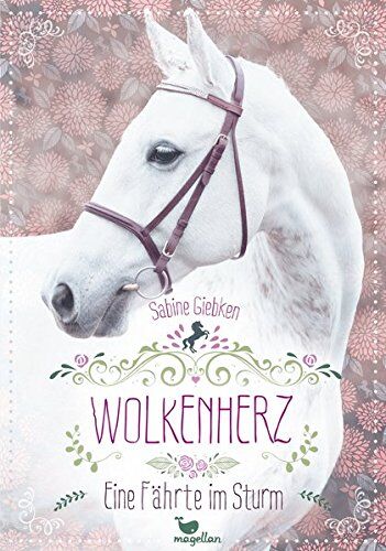 Sabine Giebken - Wolkenherz - Eine Fährte im Sturm - Band 2 - Preis vom 30.09.2026 22:30:23 h