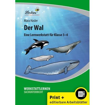 Der Wal, Set von Mara Hasler, Lernbiene, 978-3-86998-811-5