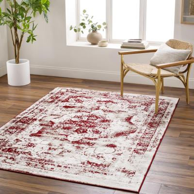 Livabliss Otero Vintage Area Rug