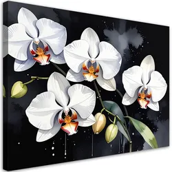 WANDBILD, Weiße Orchideen Blumen Pflanzen Natur