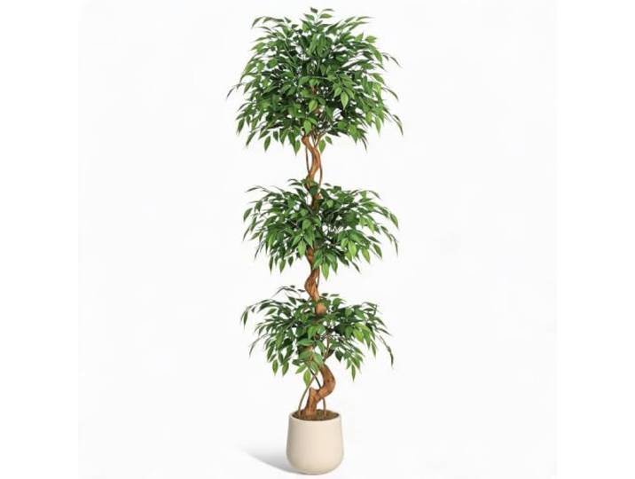 Koioplie Künstlicher Ficusbaum für Innen - großer realistischer Kunstbaum mit gebogenem Holzstamm & Seidenblättern - Pflegeleichte Boden-Deko im weißen Topf mit Moos - 6ft