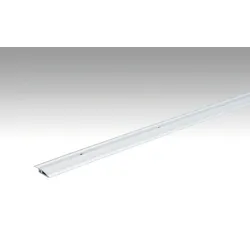 MEISTER Anpassungsprofil Typ 100 Silber eloxiert 220 - 2700 mm