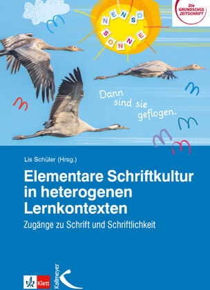 Kallmeyer Elementare Schriftkultur in heterogenen Lernkontexten