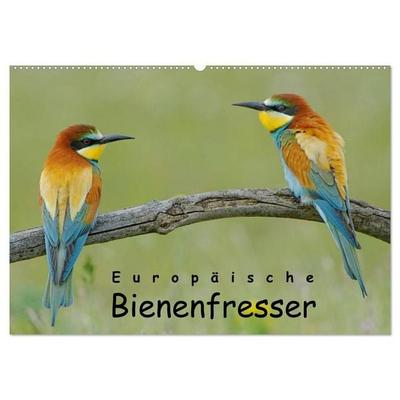 Europäische Bienenfresser (Wandkalender 2026 DIN A2 quer), CALVENDO Monatskalender